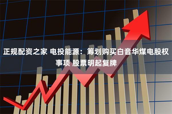 正规配资之家 电投能源：筹划购买白音华煤电股权事项 股票明起复牌