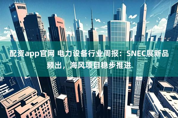 配资app官网 电力设备行业周报:SNEC展新品频出,海风项目稳步推进